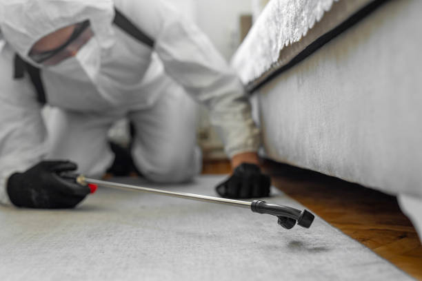 Professional Bed Bug Control technician working in Franklin Lakes, NJ