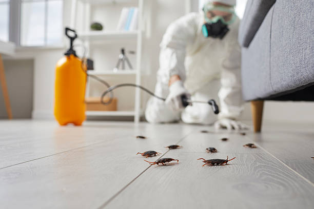 Trusted Fumigation Services service in Franklin Lakes, NJ - Nex Pest Control