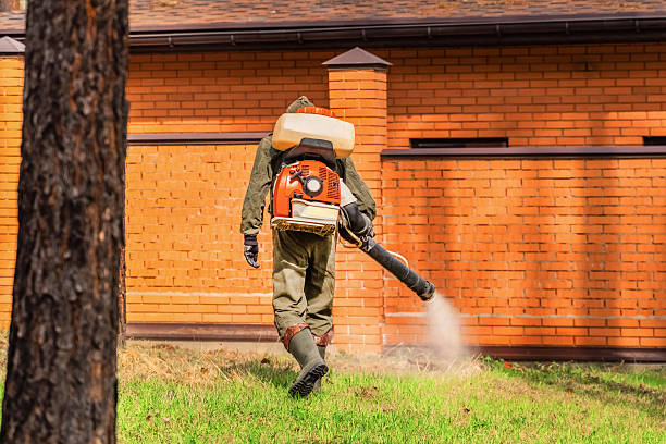 Trusted Bed Bug Control service in Franklin Lakes, NJ - Nex Pest Control